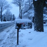 Taken on the first day of Spring